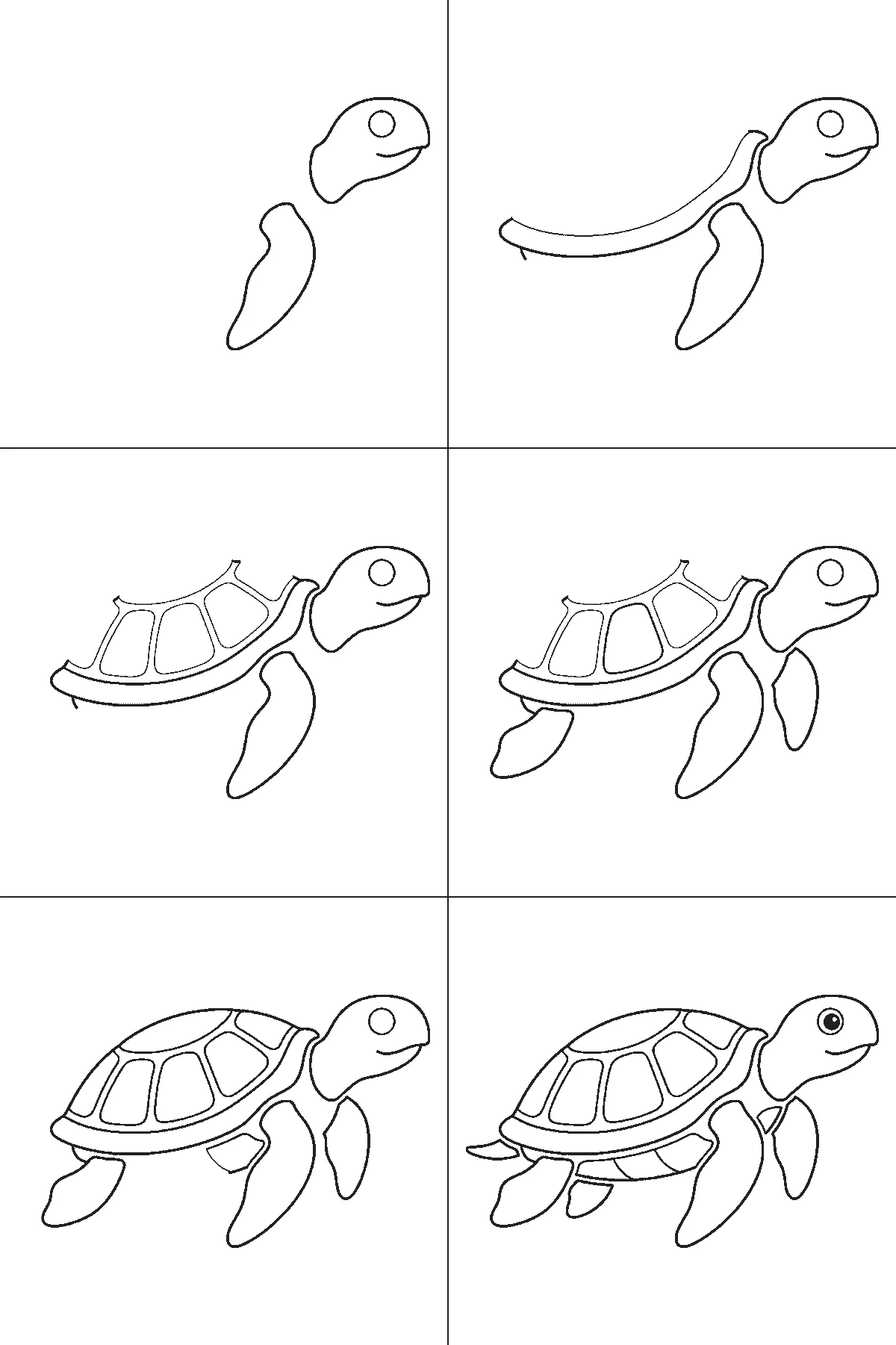 Step-by-step drawing sheet: a sea turtle swimming in profile, built up over six frames from the head and one flipper to the shell, rear flippers and shell plates, black outlines on white