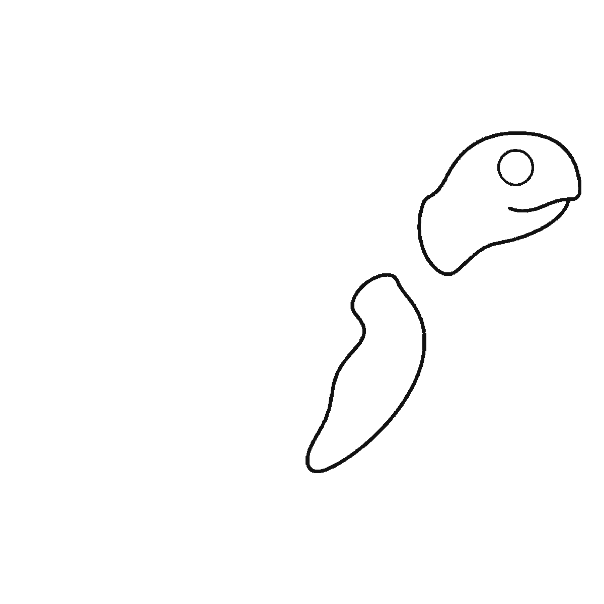 Step 1 of 6: Step-by-step drawing sheet: a sea turtle swimming in profile, built up over six frames from the head and one flipper to the shell, rear flippers and shell plates, black outlines on white