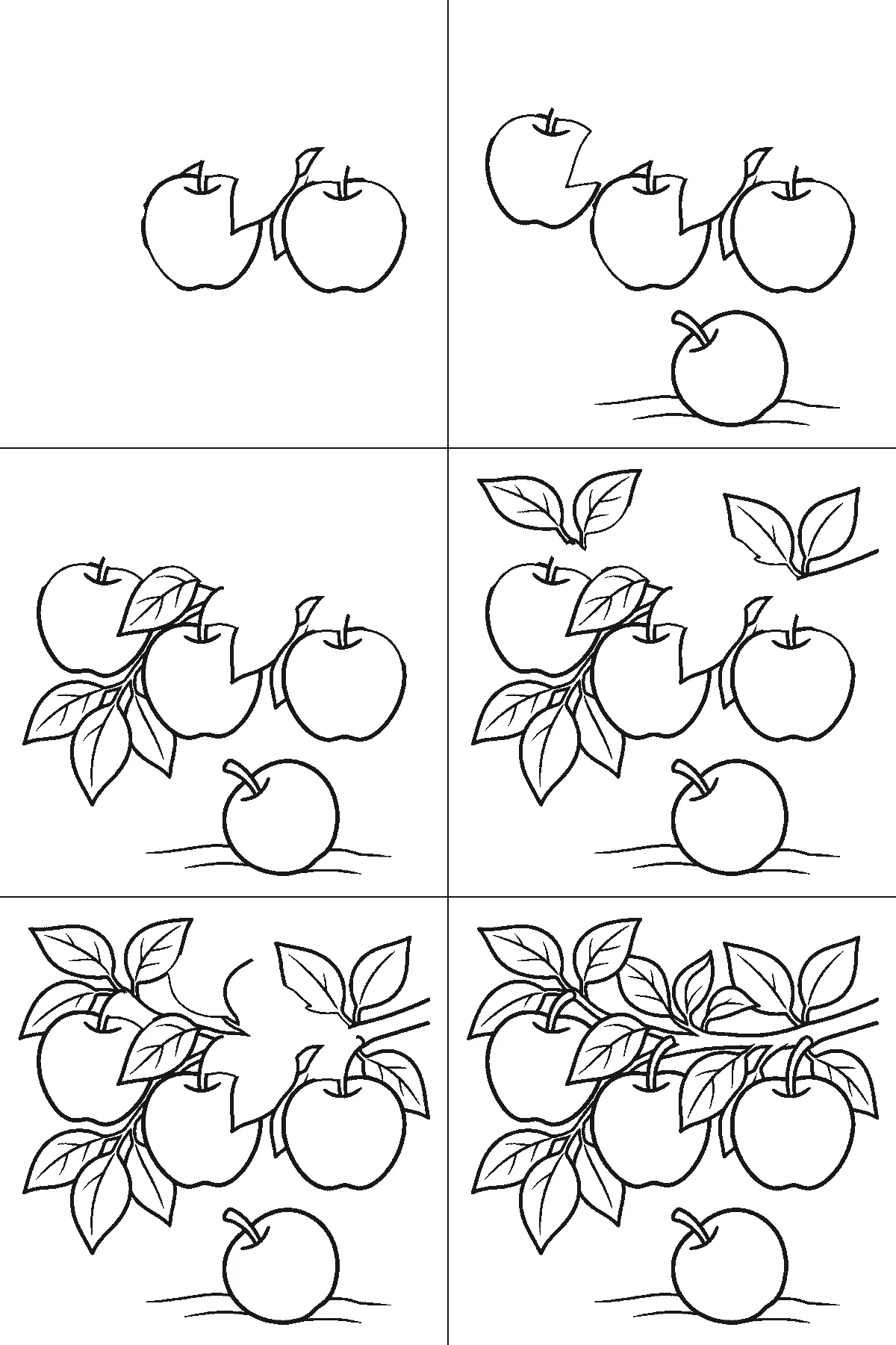 Step-by-step drawing sheet: three apples hanging on a leafy branch with a fourth lying on the ground below, built up over six frames from two of the hanging apples to the third and the fallen one, then the leaves and the branch, black outlines on white