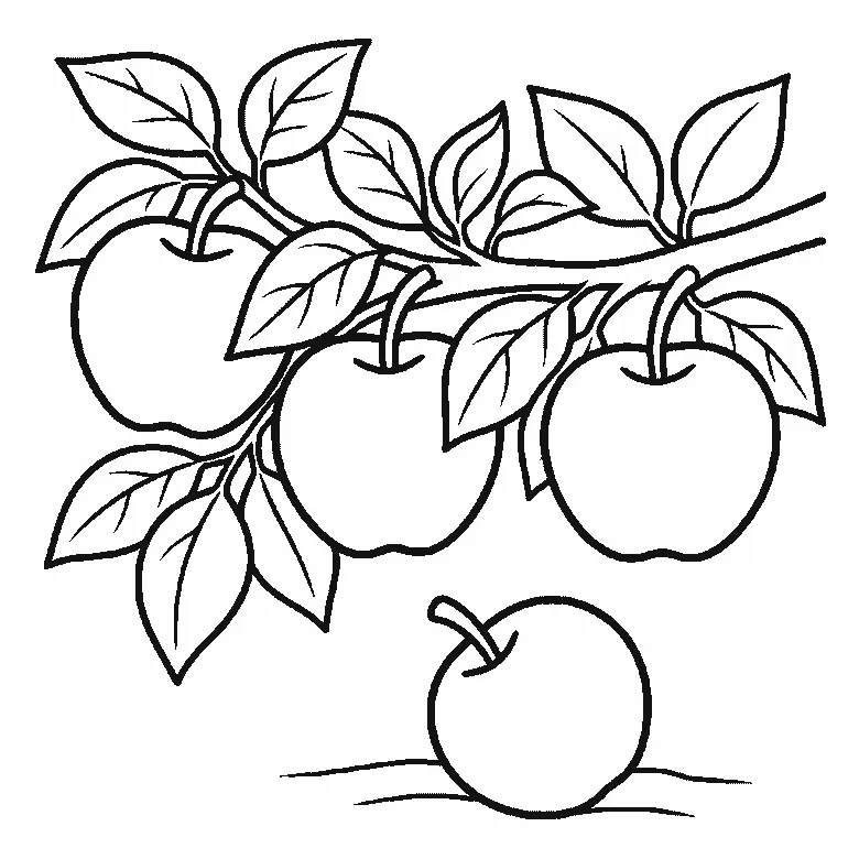 Step-by-step drawing sheet: three apples hanging on a leafy branch with a fourth lying on the ground below, built up over six frames from two of the hanging apples to the third and the fallen one, then the leaves and the branch, black outlines on white