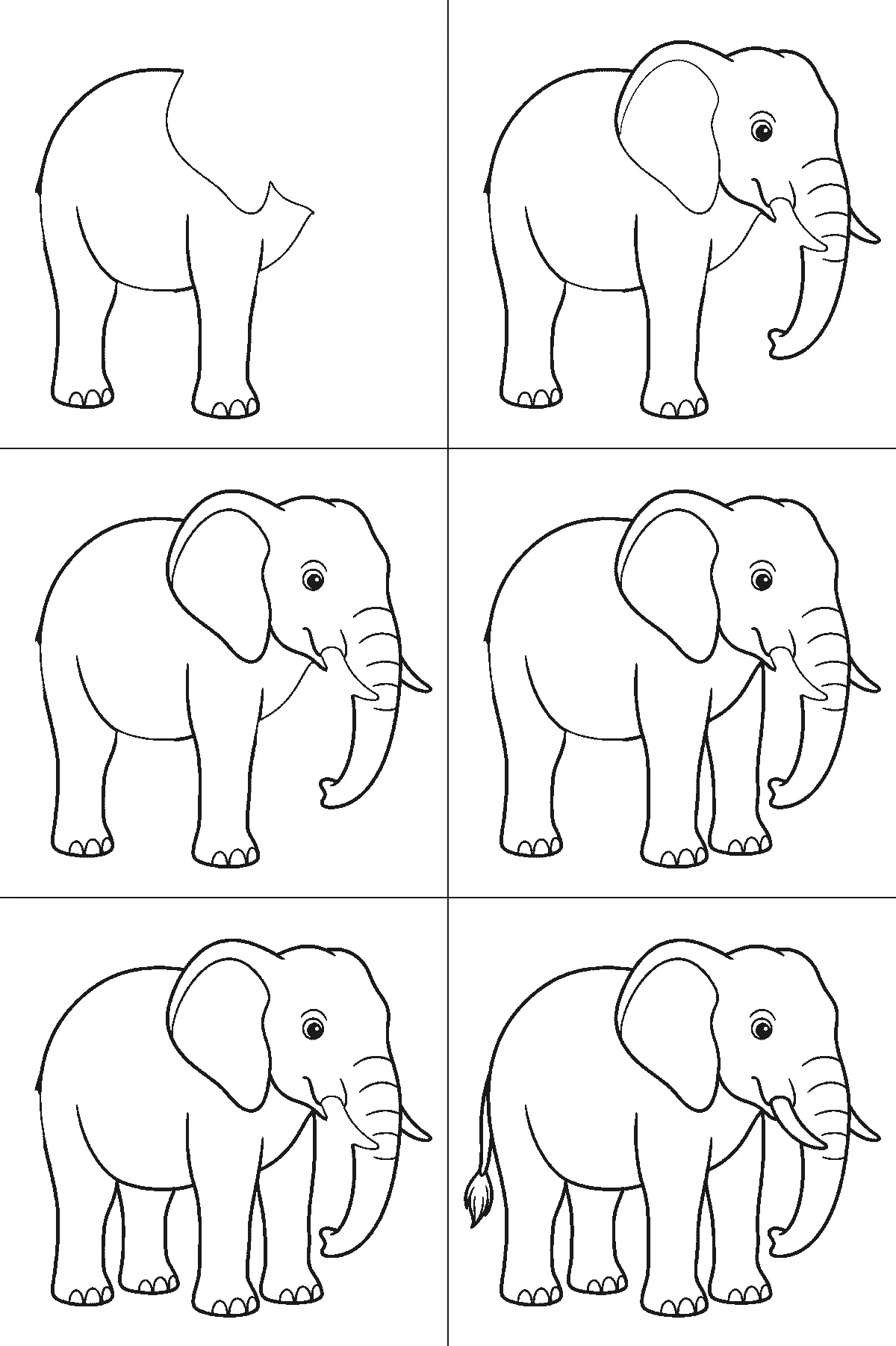 Step-by-step drawing sheet: an elephant standing in profile, built up over six frames from the body and near legs to the head, curved trunk, tusk and eye, then the large ear, the two far legs, and the tufted tail last, black outlines on white
