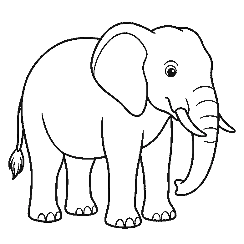 Step-by-step drawing sheet: an elephant standing in profile, built up over six frames from the body and near legs to the head, curved trunk, tusk and eye, then the large ear, the two far legs, and the tufted tail last, black outlines on white