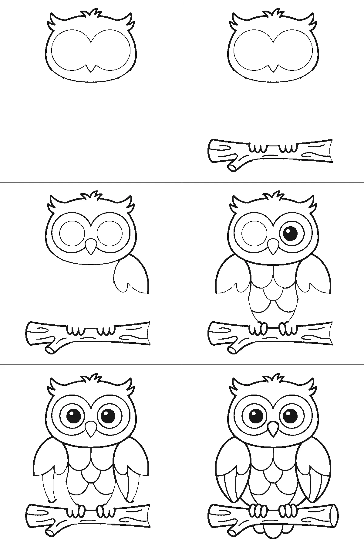 Step-by-step drawing sheet: an owl facing forward on a thick branch, built up over six frames from the head and both ear tufts to the whole branch, then one wing at a time with the chest feathers, and the two pupils and the tail last, black outlines on white