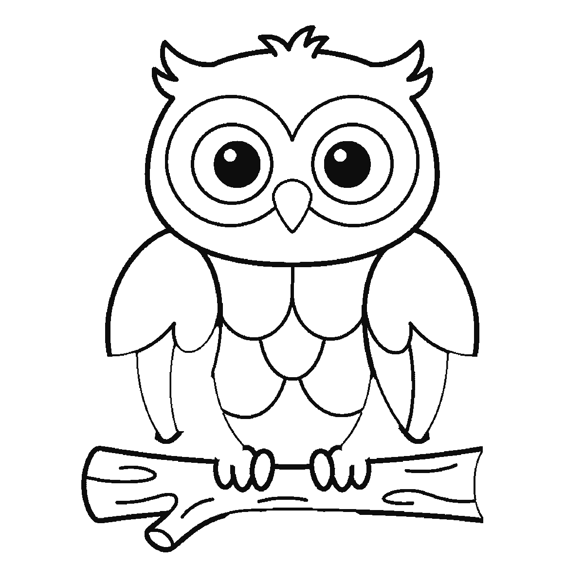 Step 5 of 6: Step-by-step drawing sheet: an owl facing forward on a thick branch, built up over six frames from the head and both ear tufts to the whole branch, then one wing at a time with the chest feathers, and the two pupils and the tail last, black outlines on white