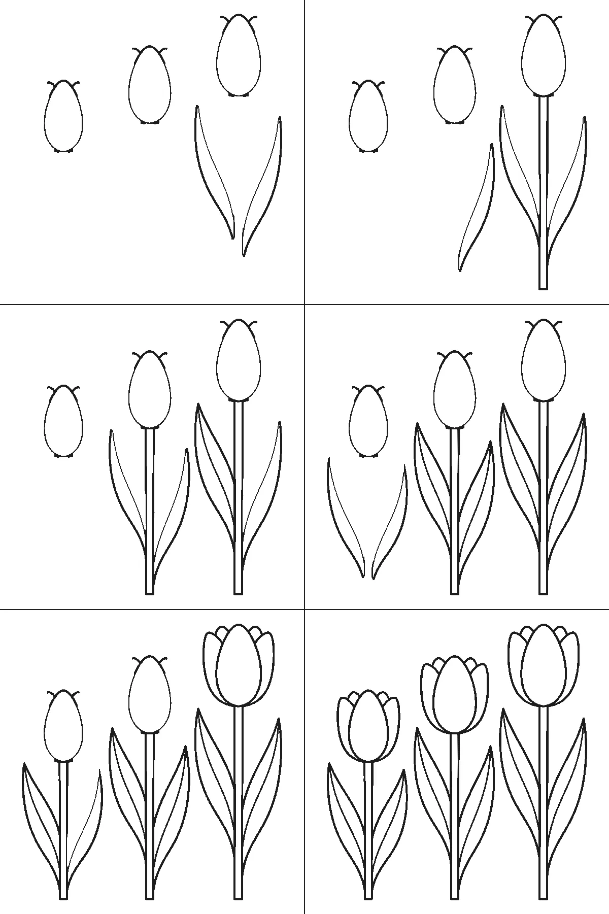 Step-by-step drawing sheet: three tulips of different heights, built up over six frames from all three flower cups together to the stems and leaves from tallest to shortest, with the lines that split each cup into petals last, black outlines on white