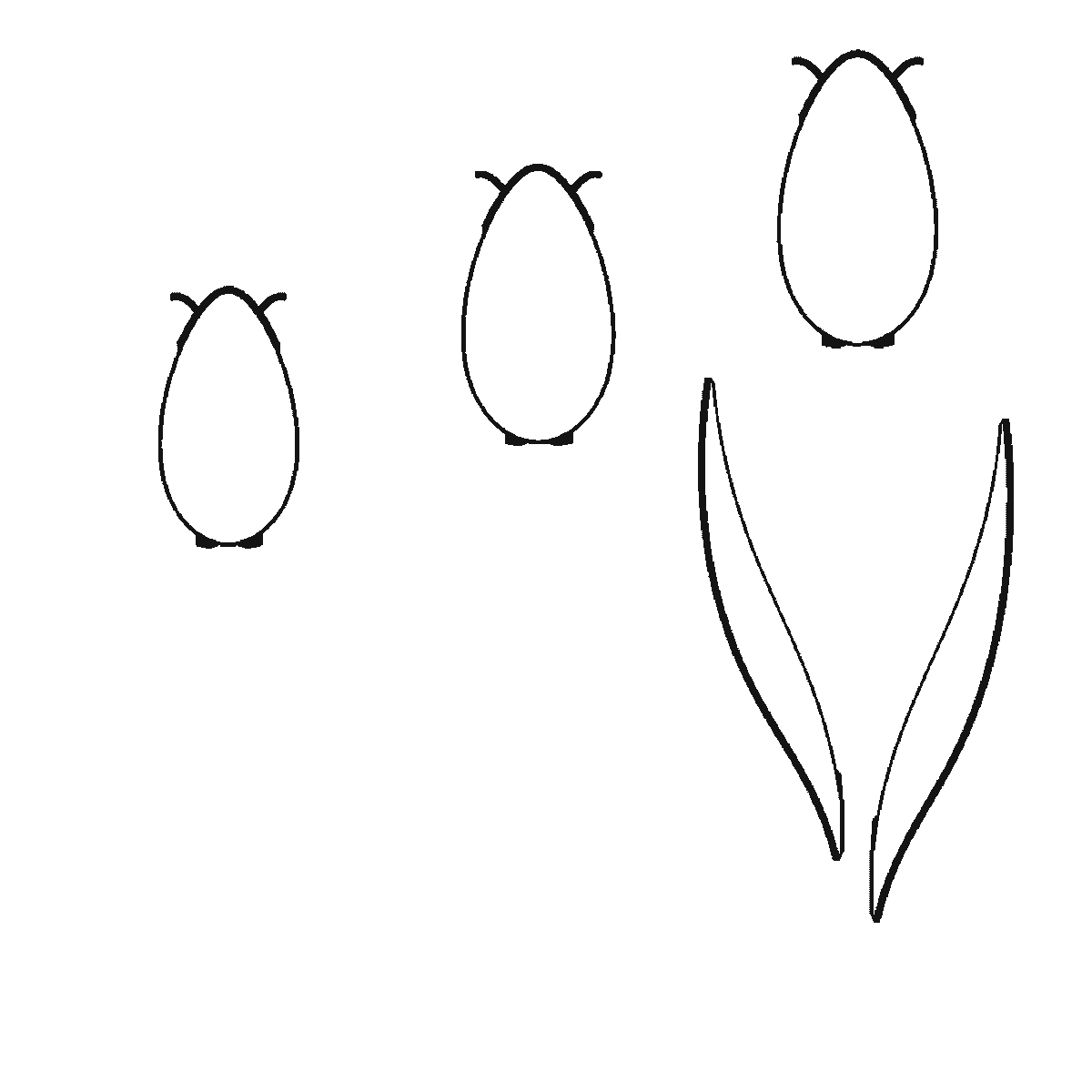 Step 1 of 6: Step-by-step drawing sheet: three tulips of different heights, built up over six frames from all three flower cups together to the stems and leaves from tallest to shortest, with the lines that split each cup into petals last, black outlines on white