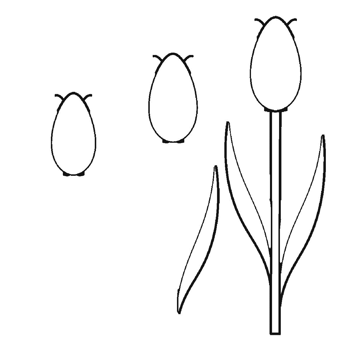 Step 2 of 6: Step-by-step drawing sheet: three tulips of different heights, built up over six frames from all three flower cups together to the stems and leaves from tallest to shortest, with the lines that split each cup into petals last, black outlines on white