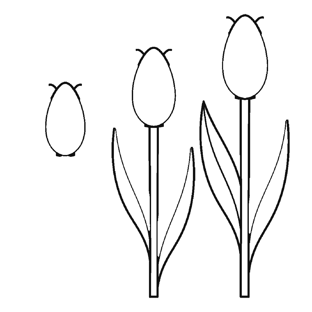 Step 3 of 6: Step-by-step drawing sheet: three tulips of different heights, built up over six frames from all three flower cups together to the stems and leaves from tallest to shortest, with the lines that split each cup into petals last, black outlines on white