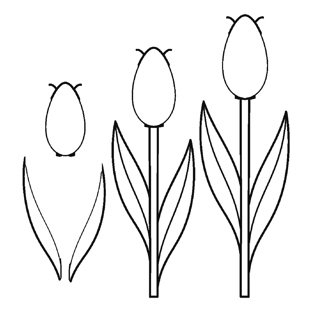 Step 4 of 6: Step-by-step drawing sheet: three tulips of different heights, built up over six frames from all three flower cups together to the stems and leaves from tallest to shortest, with the lines that split each cup into petals last, black outlines on white