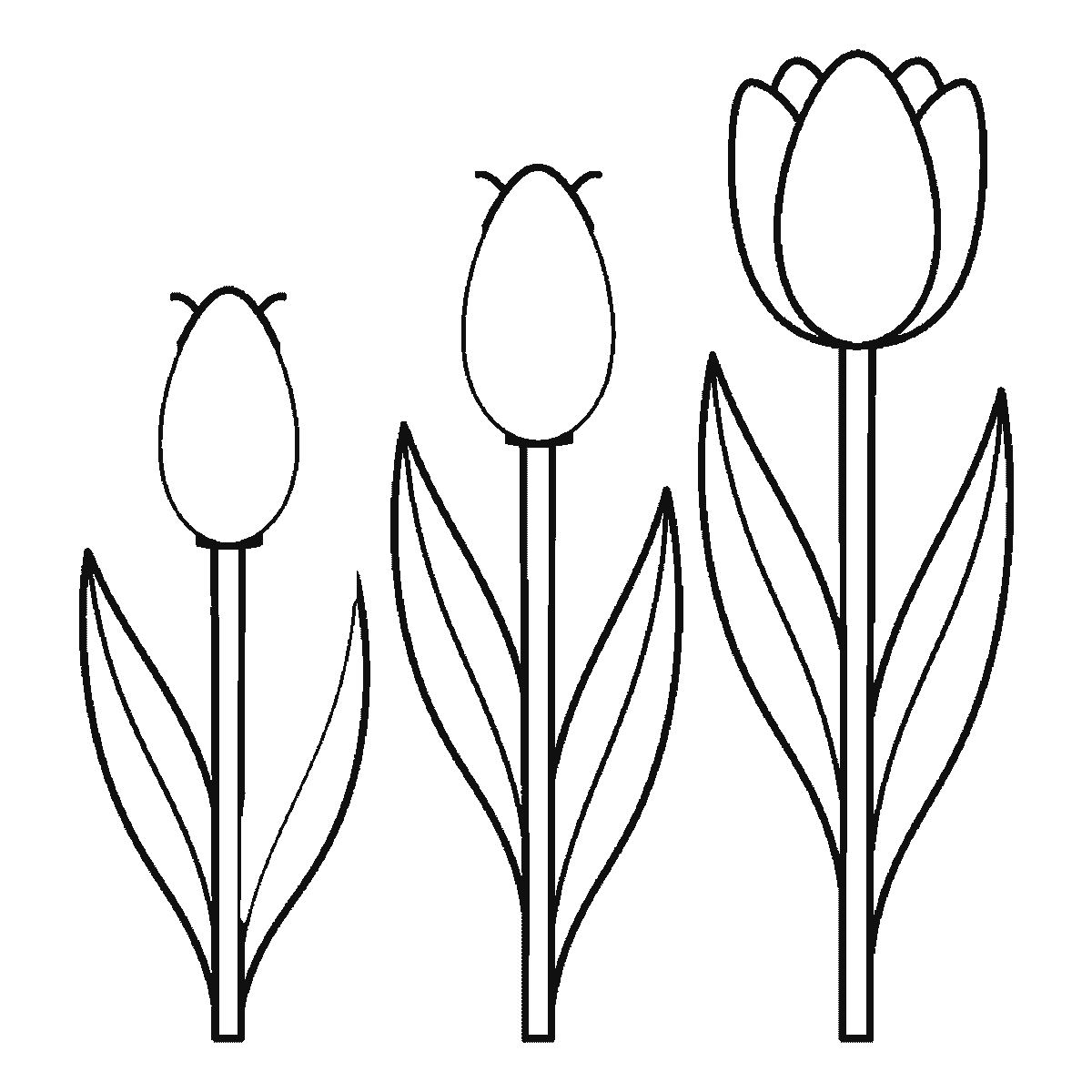 Step 5 of 6: Step-by-step drawing sheet: three tulips of different heights, built up over six frames from all three flower cups together to the stems and leaves from tallest to shortest, with the lines that split each cup into petals last, black outlines on white
