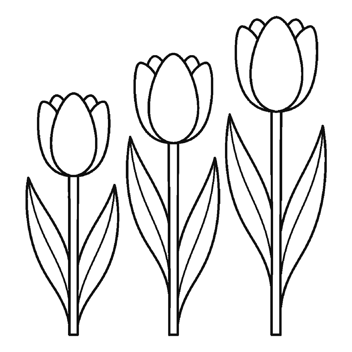 Step 6 of 6: Step-by-step drawing sheet: three tulips of different heights, built up over six frames from all three flower cups together to the stems and leaves from tallest to shortest, with the lines that split each cup into petals last, black outlines on white