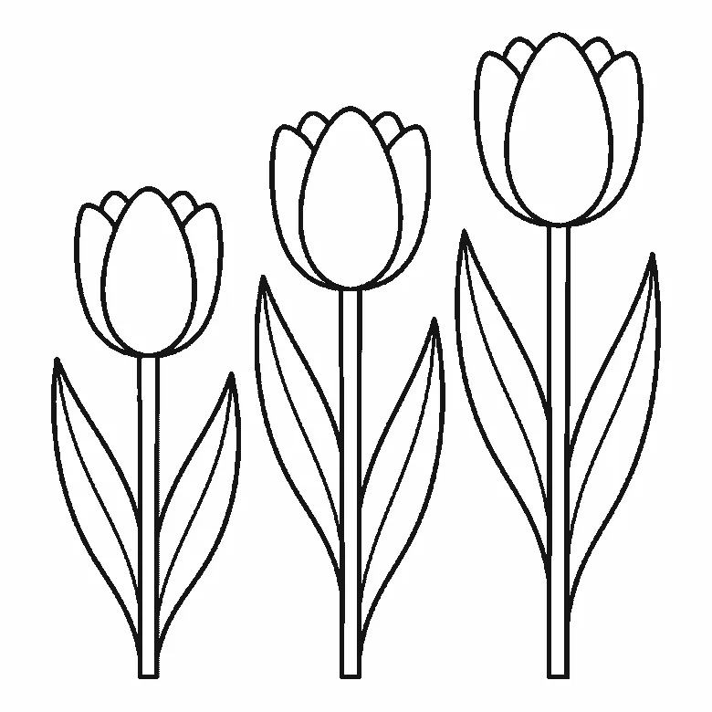 Step-by-step drawing sheet: three tulips of different heights, built up over six frames from all three flower cups together to the stems and leaves from tallest to shortest, with the lines that split each cup into petals last, black outlines on white