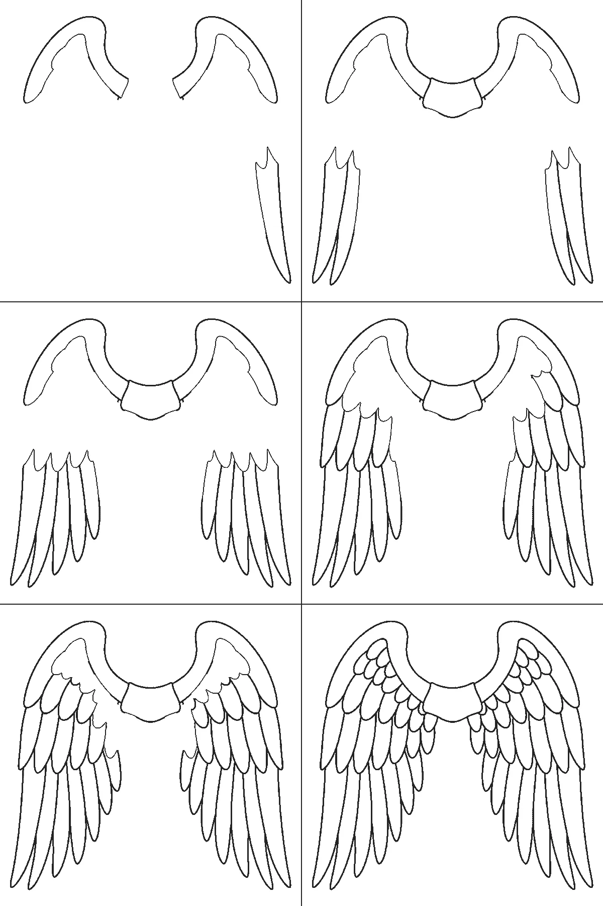Step-by-step drawing sheet: a pair of feathered wings spread wide, built up over six frames from the leading edge to the shoulder panel, then the long flight feathers and the medium rows working inwards, with the small round coverts last, the same feather on both wings each frame, black outlines on white