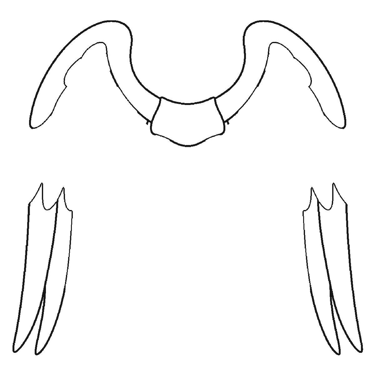 Step 2 of 6: Step-by-step drawing sheet: a pair of feathered wings spread wide, built up over six frames from the leading edge to the shoulder panel, then the long flight feathers and the medium rows working inwards, with the small round coverts last, the same feather on both wings each frame, black outlines on white
