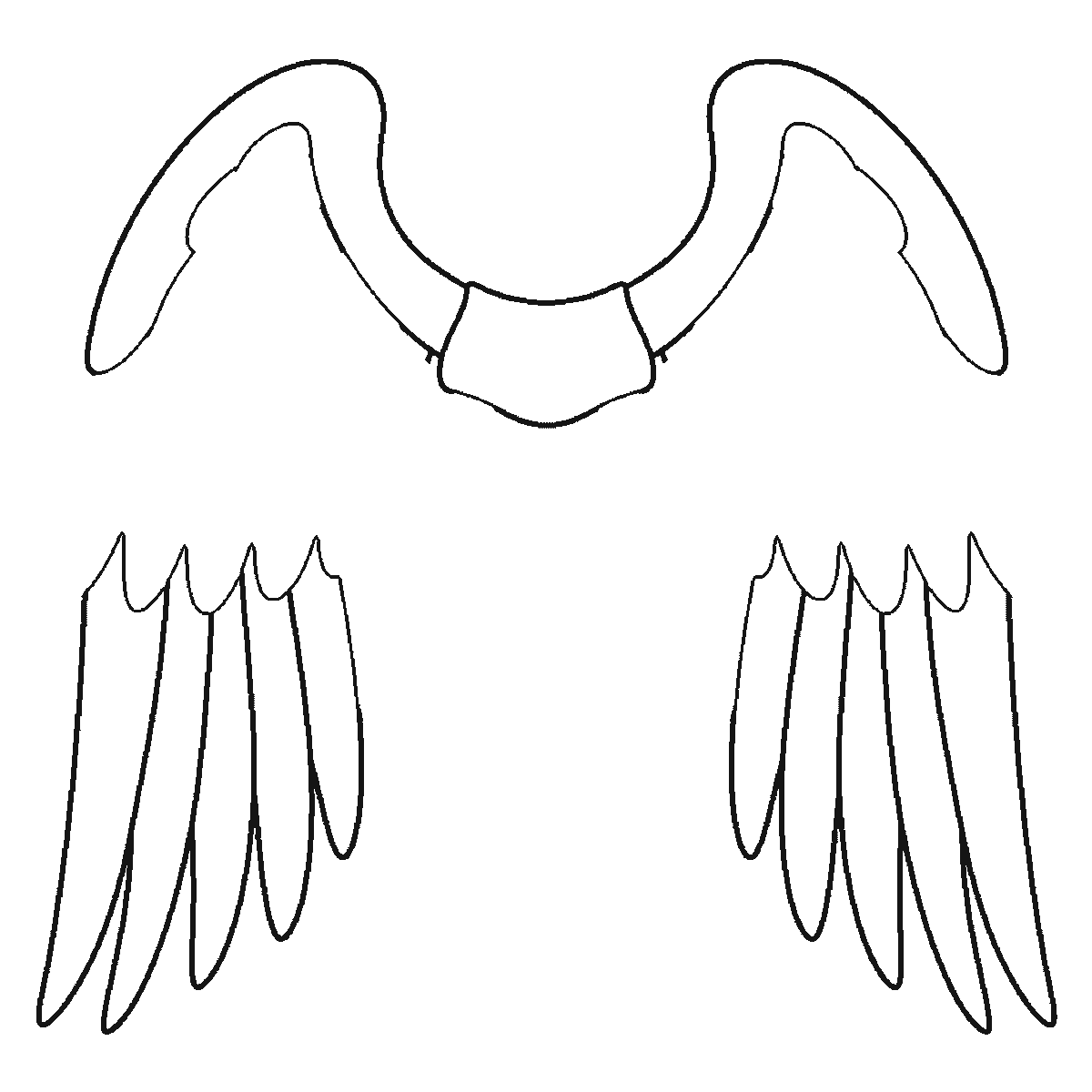 Step 3 of 6: Step-by-step drawing sheet: a pair of feathered wings spread wide, built up over six frames from the leading edge to the shoulder panel, then the long flight feathers and the medium rows working inwards, with the small round coverts last, the same feather on both wings each frame, black outlines on white
