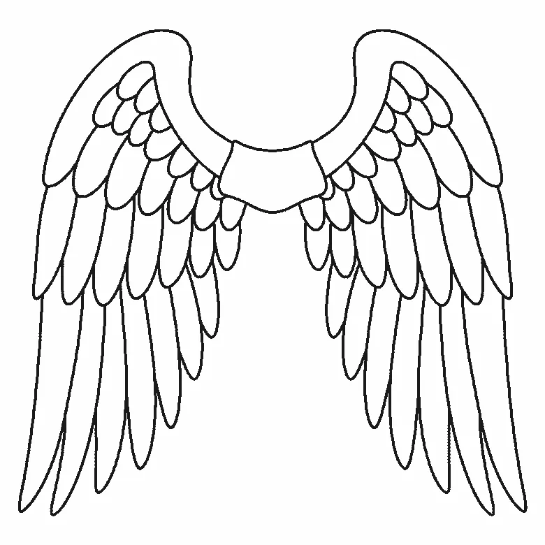 Step-by-step drawing sheet: a pair of feathered wings spread wide, built up over six frames from the leading edge to the shoulder panel, then the long flight feathers and the medium rows working inwards, with the small round coverts last, the same feather on both wings each frame, black outlines on white